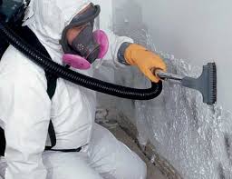 Why You Should Choose Our Mold Remediation Services in Attalla, AL